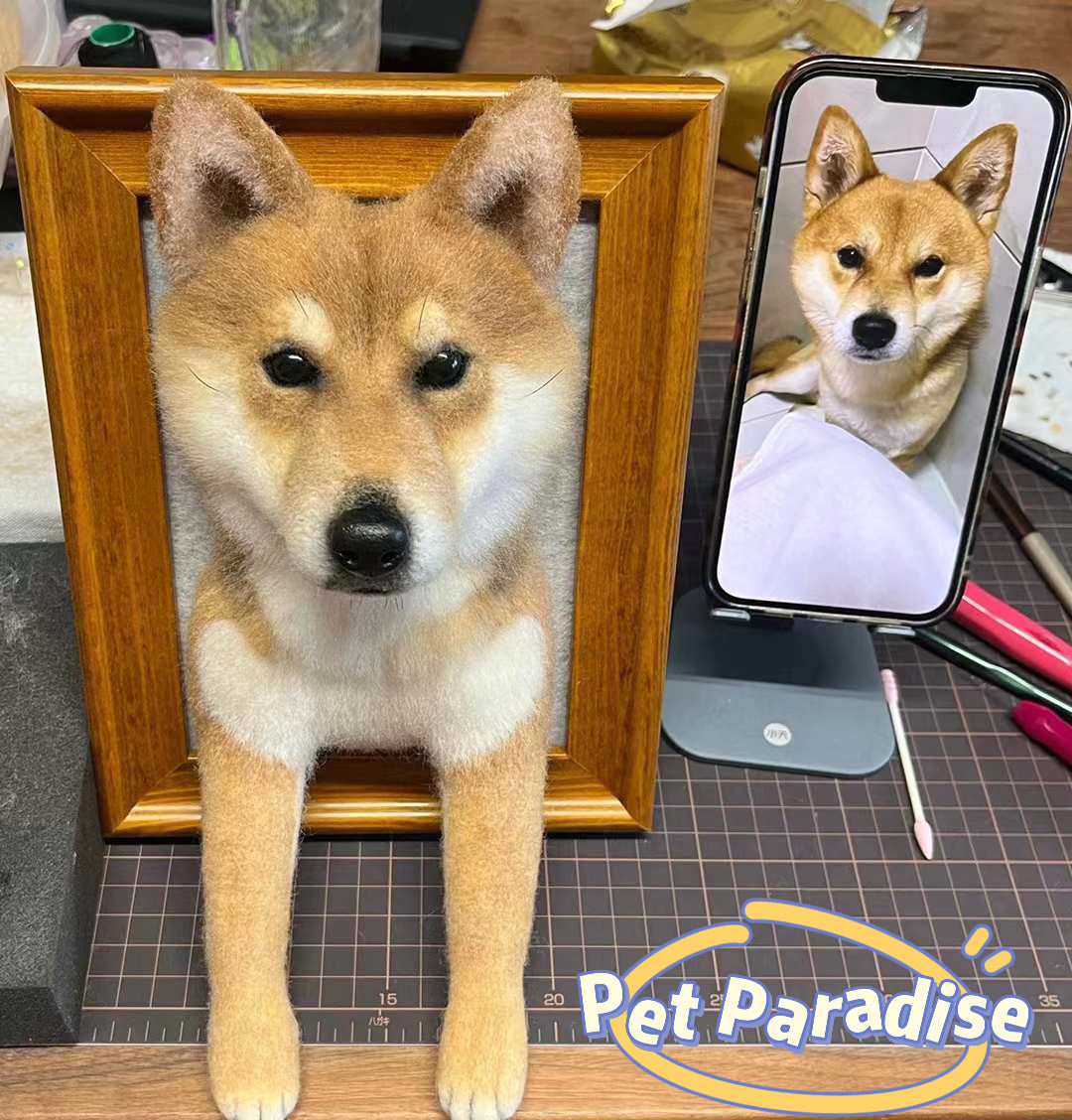 Pet needle felting-Pet Portraits