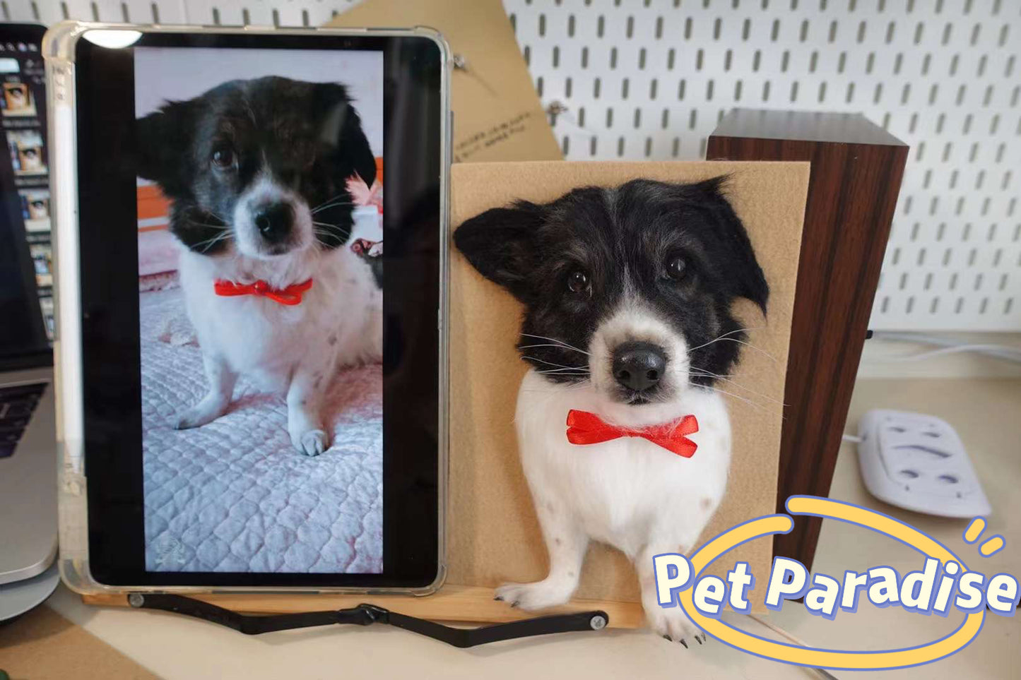 Pet needle felting-Pet Portraits