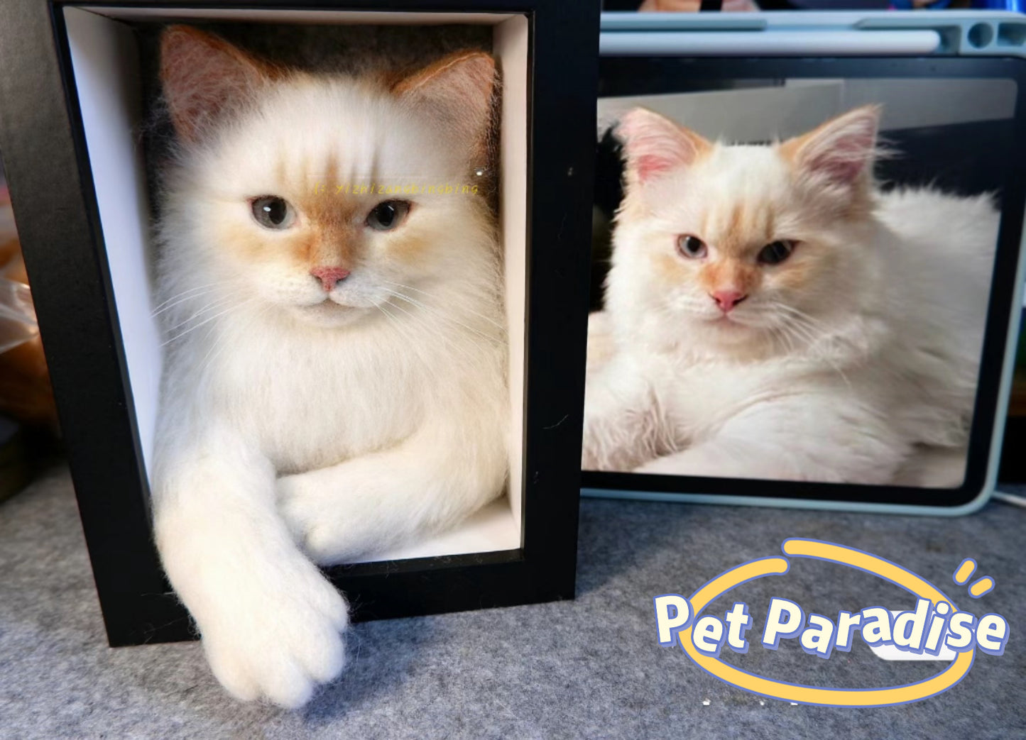 Pet needle felting-Pet Portraits