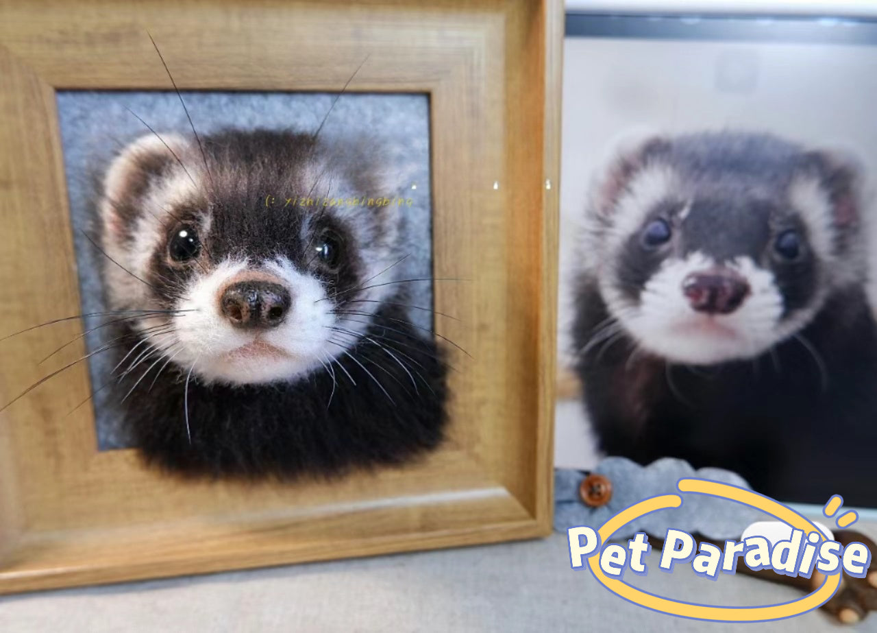 Pet needle felting-Pet Portraits