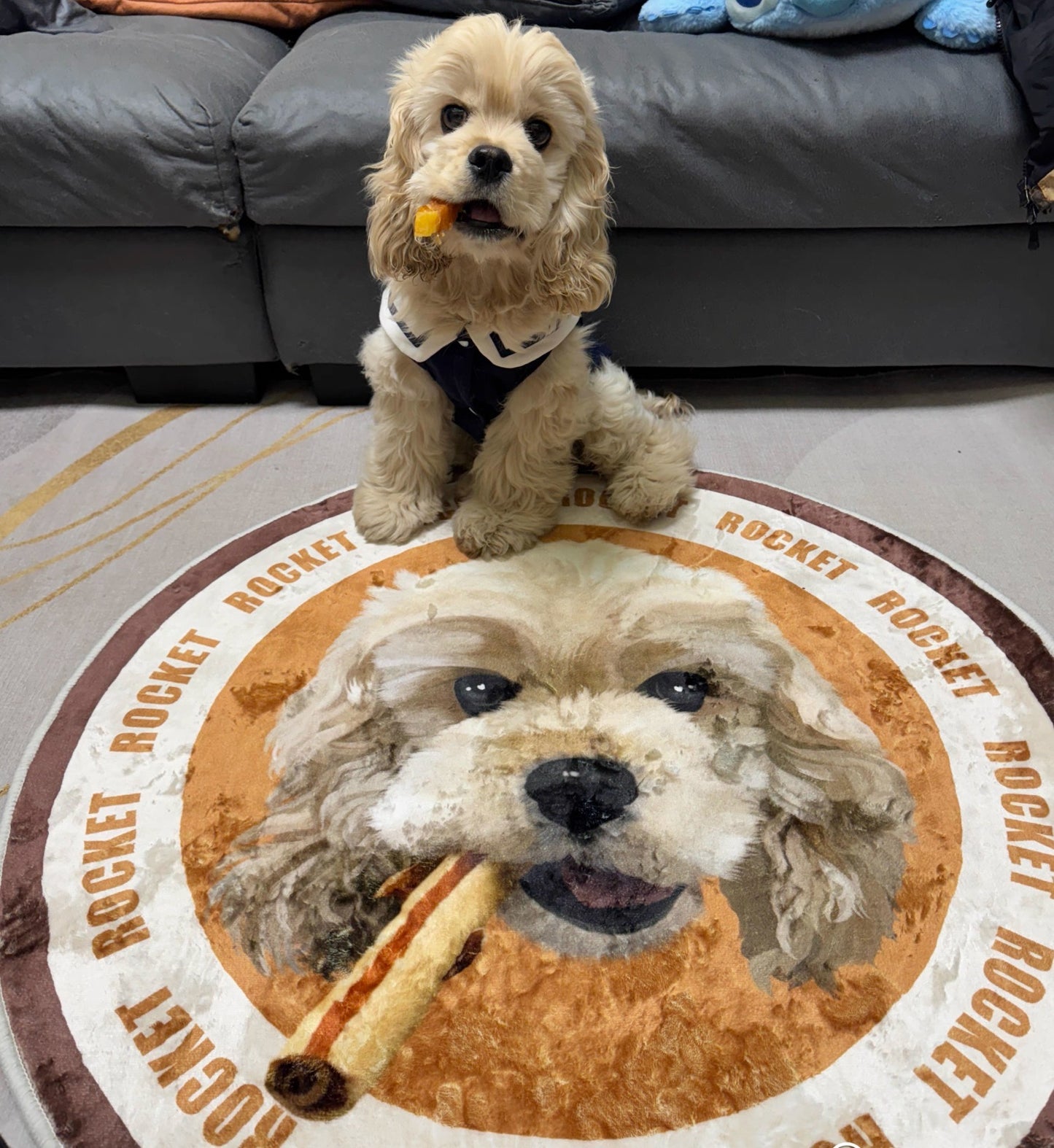 Pet Custom Carpet- Pet Portraits